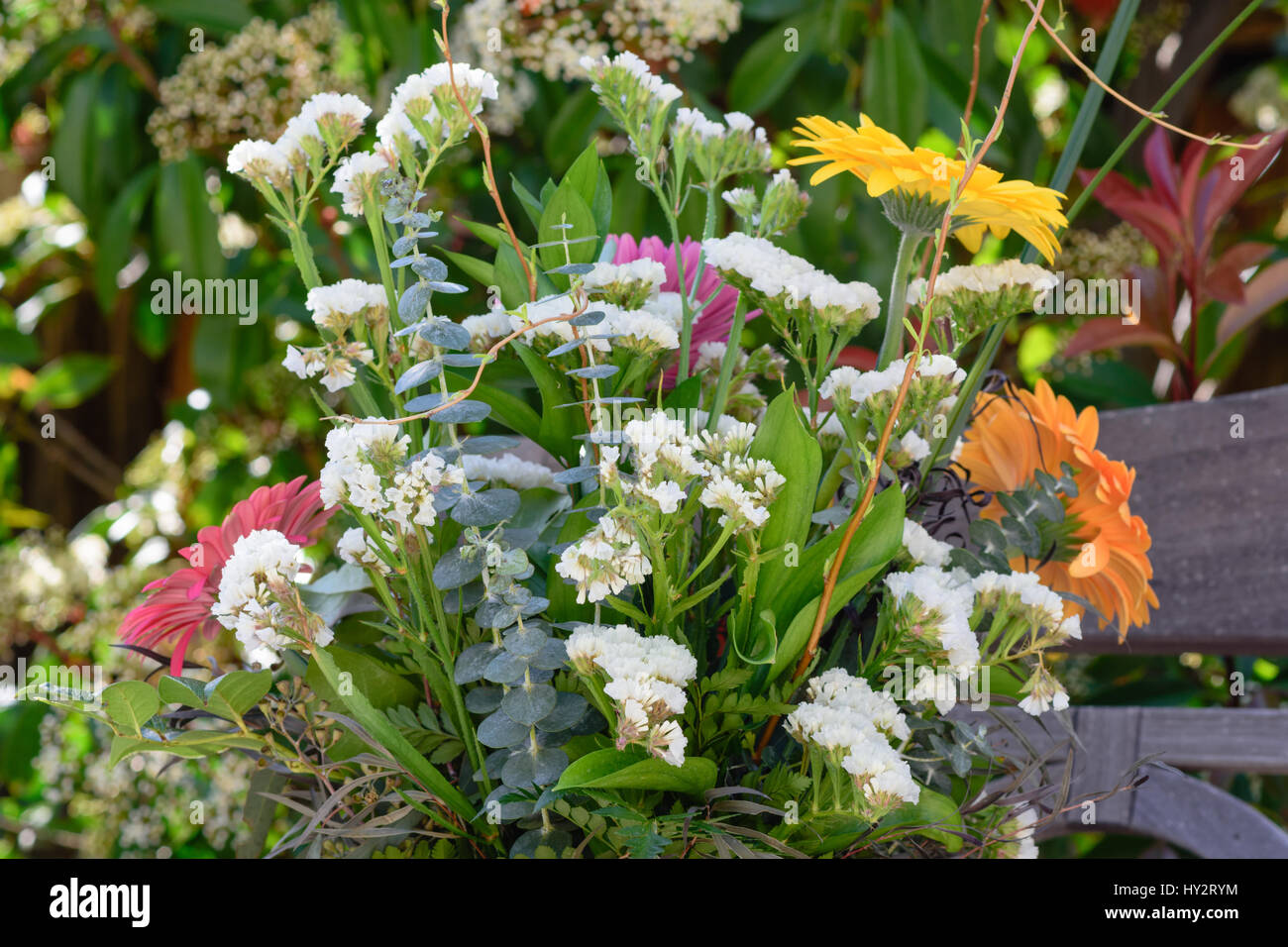 Kleiner weißer Blumen aus dem Garten Stockfoto