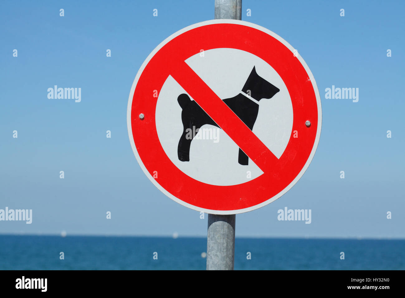 Schild Hunde verboten Stockfoto