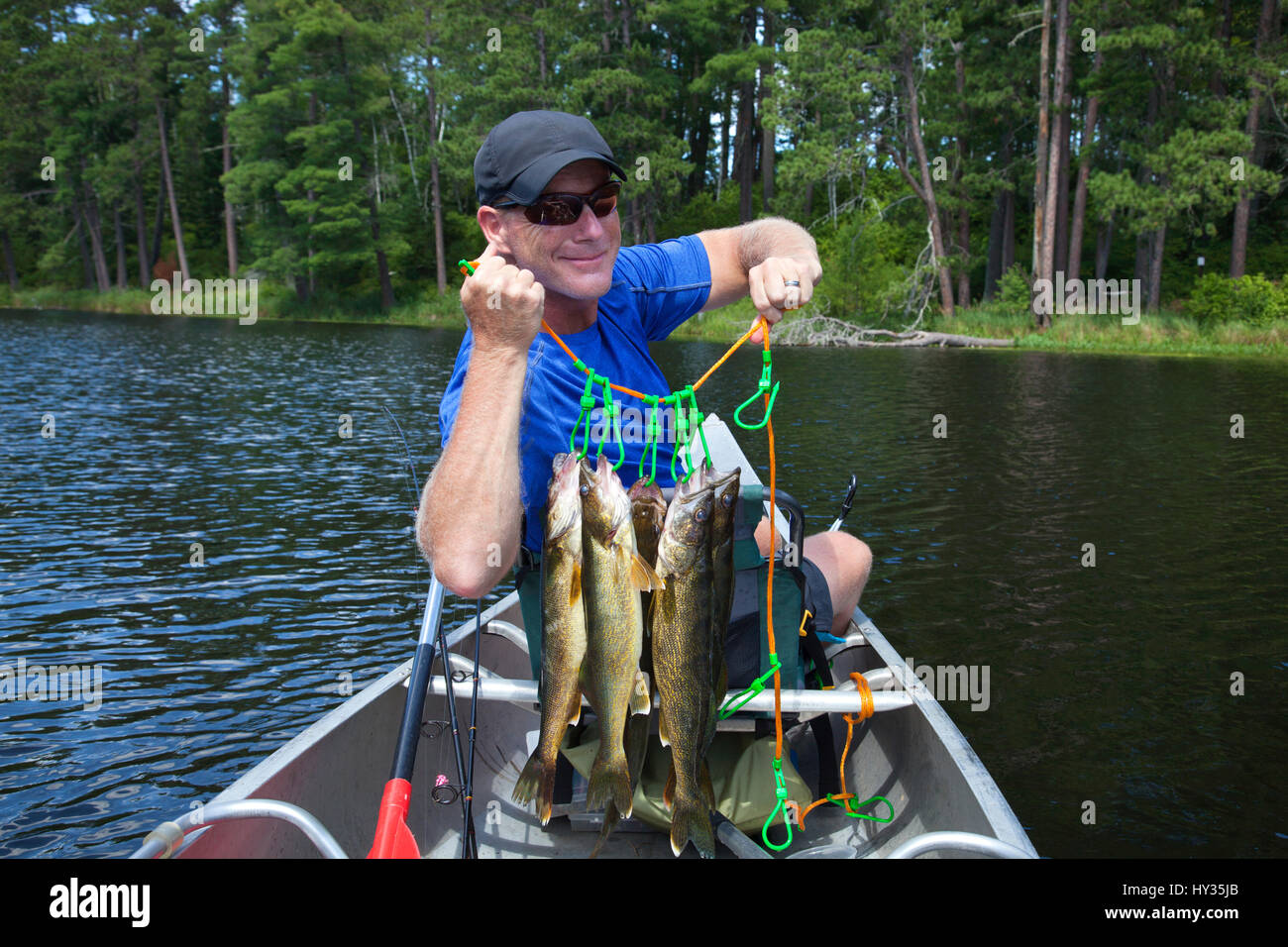 Ein kaukasischer Fischer in seinen 40ern hält ein Stringer Walleyes an einem See, Minnesota Stockfoto