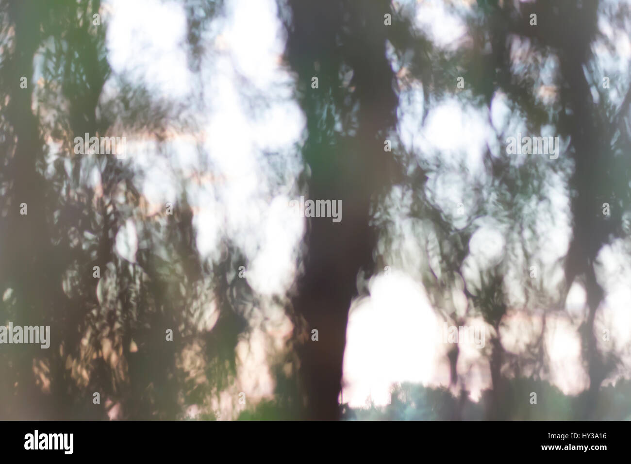 Abstrakt Grün Bokeh Hintergrund von Bäumen und Sonne. Bild unscharf Stockfoto