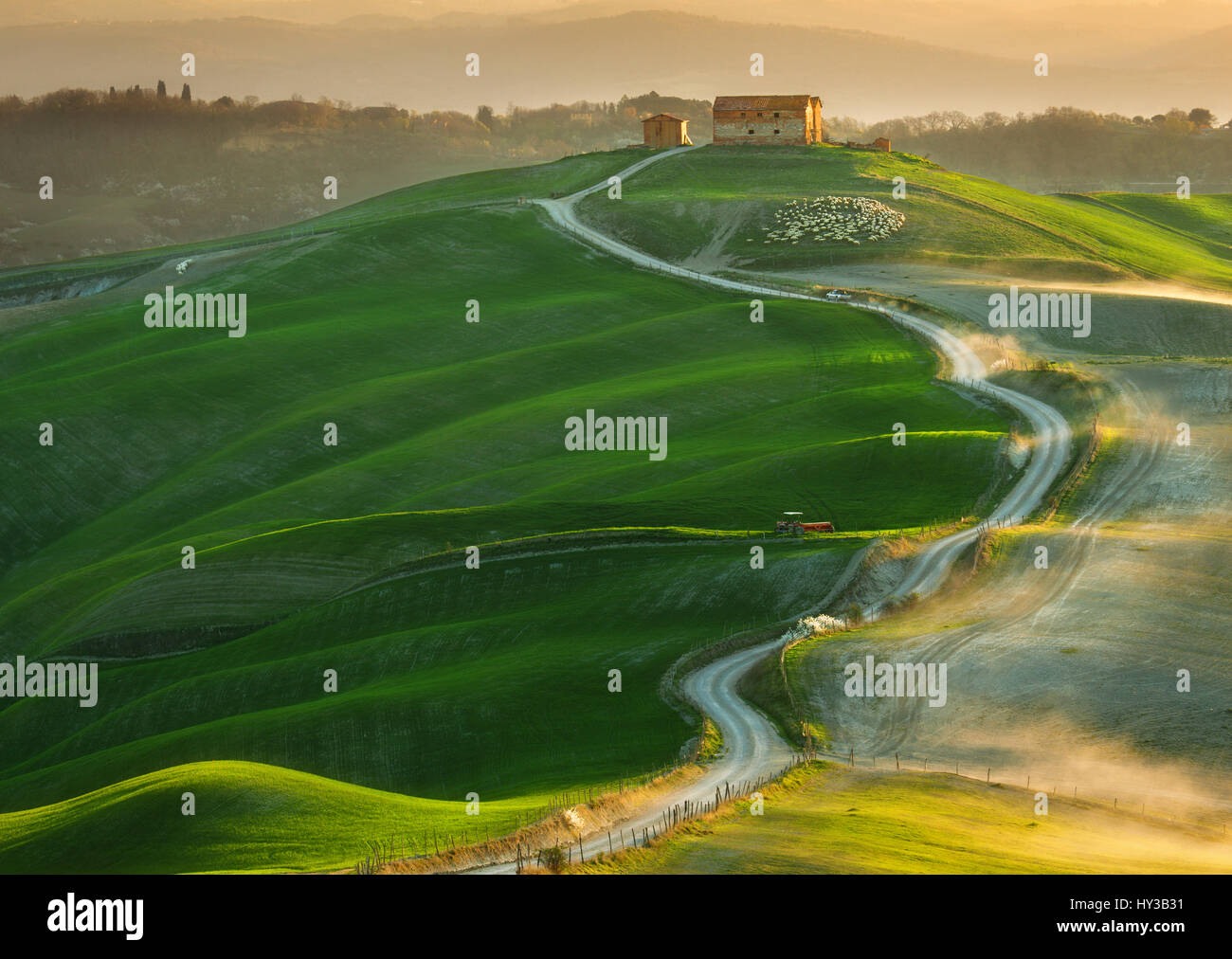 Italy,Tuscany.Province der Siena.Crete Senesi. Felder in der Nähe von Asciano Stockfoto