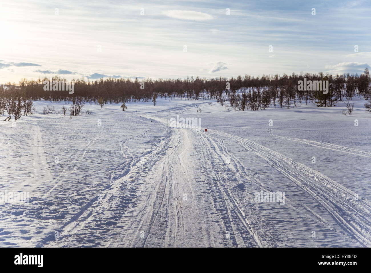 Eine schöne weiße Landschaft von einem verschneiten norwegischen Wintertag mit Tracks für Motorschlitten oder Hundeschlitten Stockfoto