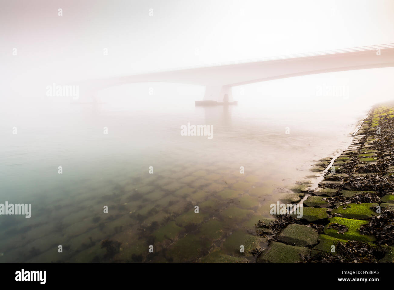 Zeeland-Brücke (Zeelandbrug) in Nebel bei Sonnenaufgang im Winter abgedeckt. Niedrige Visibilty macht die Sonne durch den Nebel der Zeeland-Brücke ist die Liebe Stockfoto