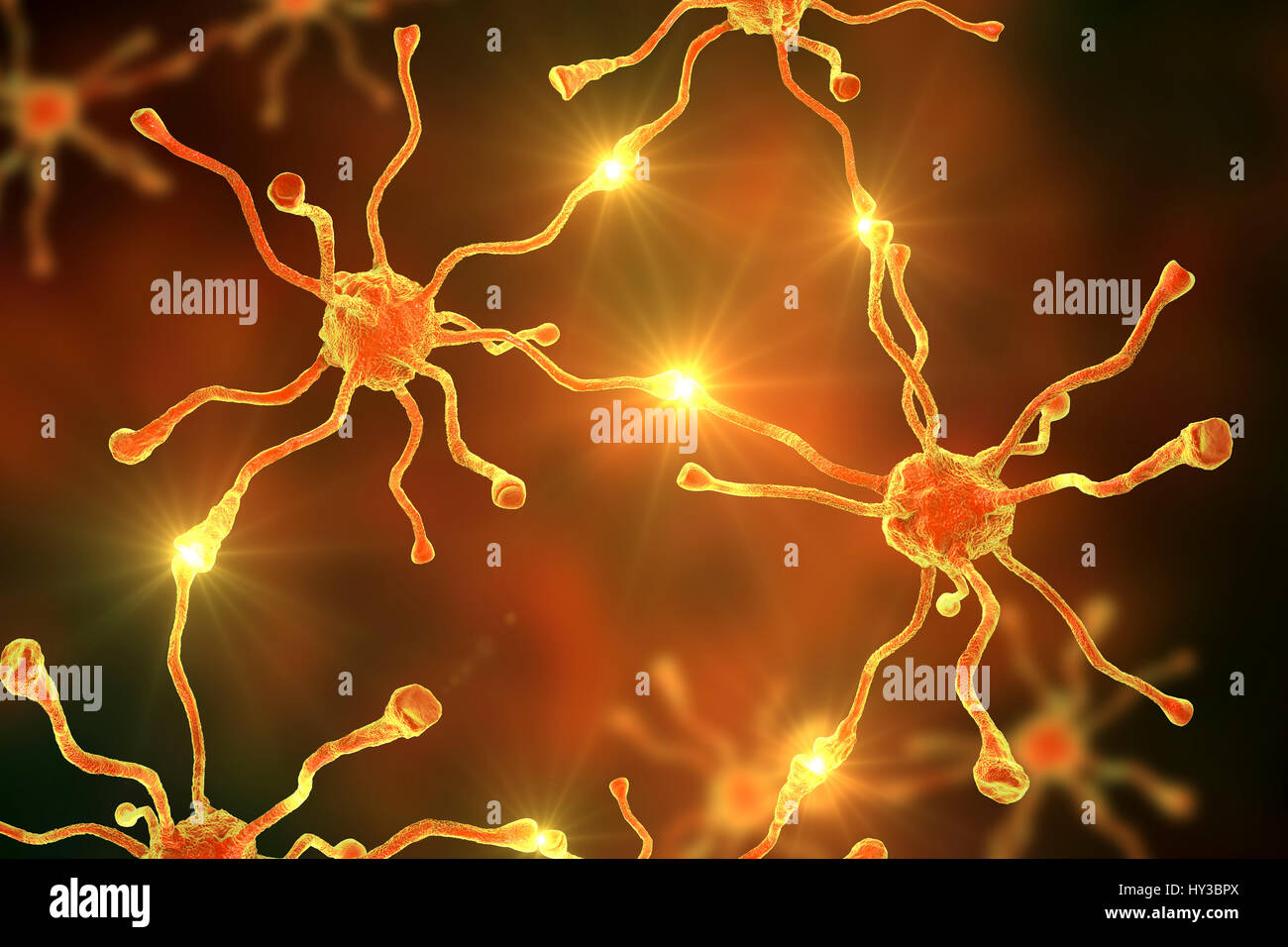 Nervenzellen oder Neuronen, aus dem menschlichen Gehirn, Computer Bild. Stockfoto