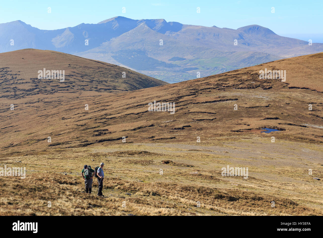 Wandern auf den Hängen des Beenoskee Gebirges auf der Dingle-Halbinsel im County Kerry, Irland mit Brandon Berg in der Ferne Stockfoto