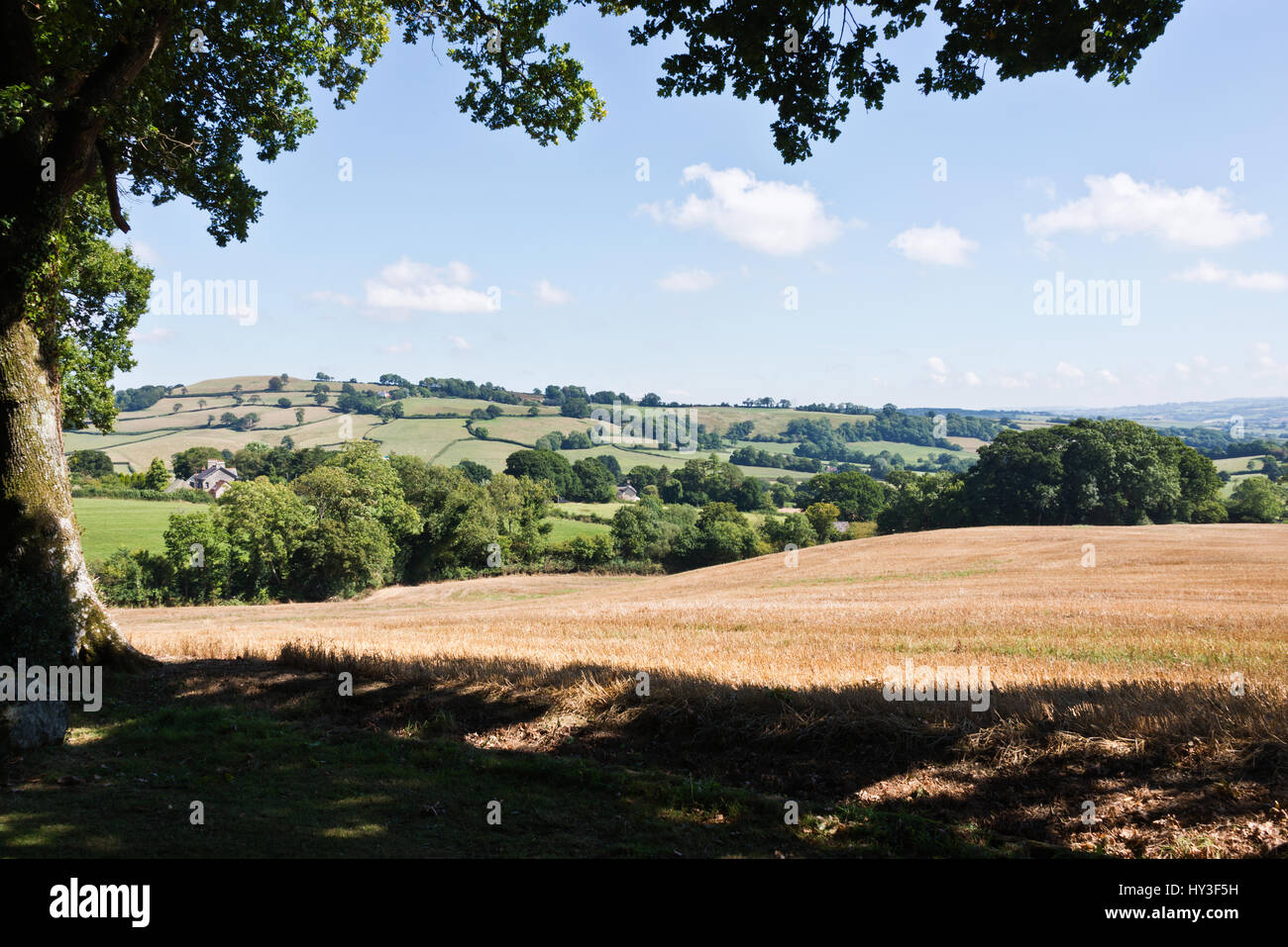 Der Blick über die offene Landschaft von Burrow Farm Gardens, auch bekannt als Osten Devons Secret Garden, in der Nähe von Axminster, Devon, England, UK Stockfoto