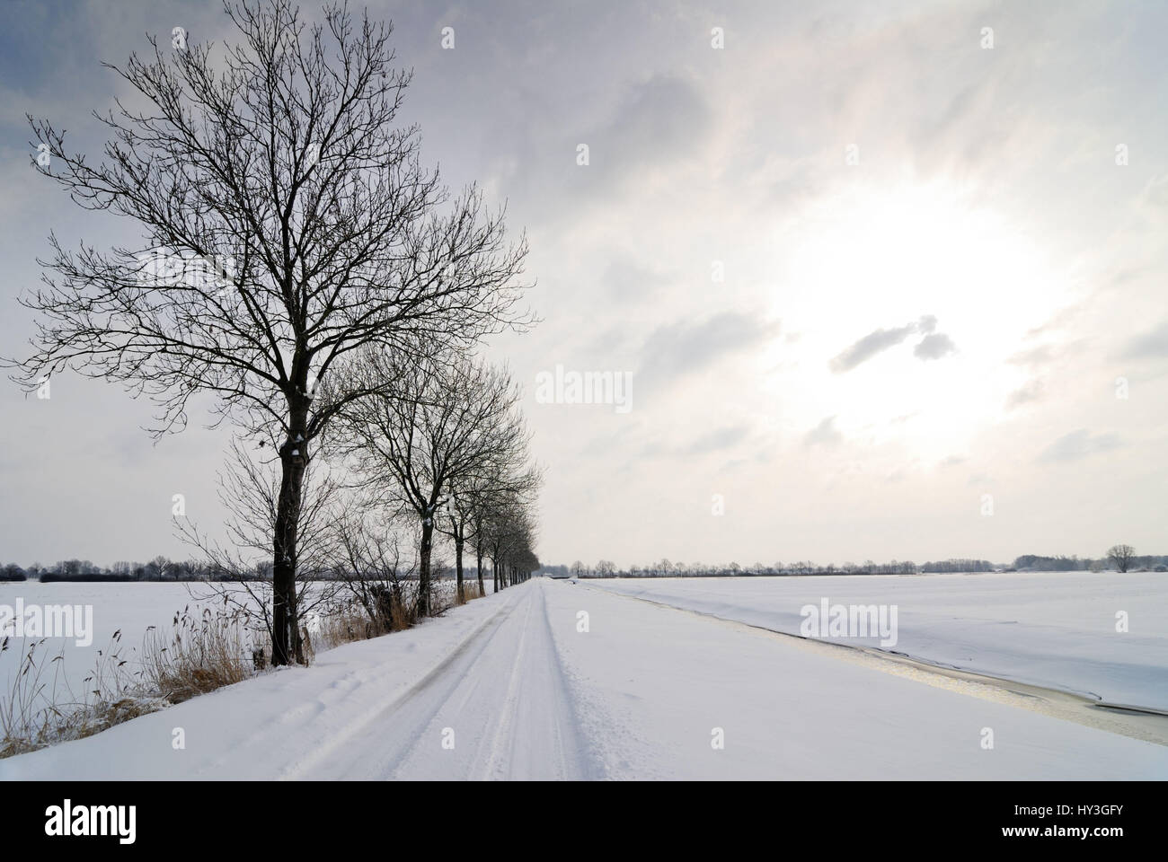 Verschneite Landschaft in der Feldstegel in neuen schmalen Krankenschwester, 4 und sumpfige Land, Hamburg, Schneelandschaft bin Feldstegel in Neuengamme, Vier-Und Marschlande Stockfoto