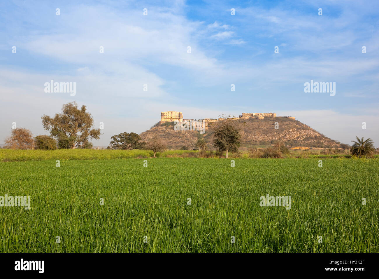 Agrarlandschaft rund um Tijara Fort Palasthotel in Rajasthan Indien mit Bäumen bei bewölktem Himmel blau Stockfoto