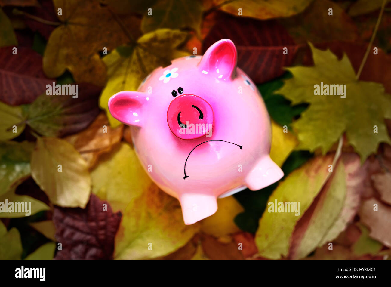 Sparschwein mit schlechter Laune in das Herbstlaub, niedrige Zinsen, Sparschwein Mit Schlechter Laune Im Herbstlaub, Niedrigzinsen Stockfoto