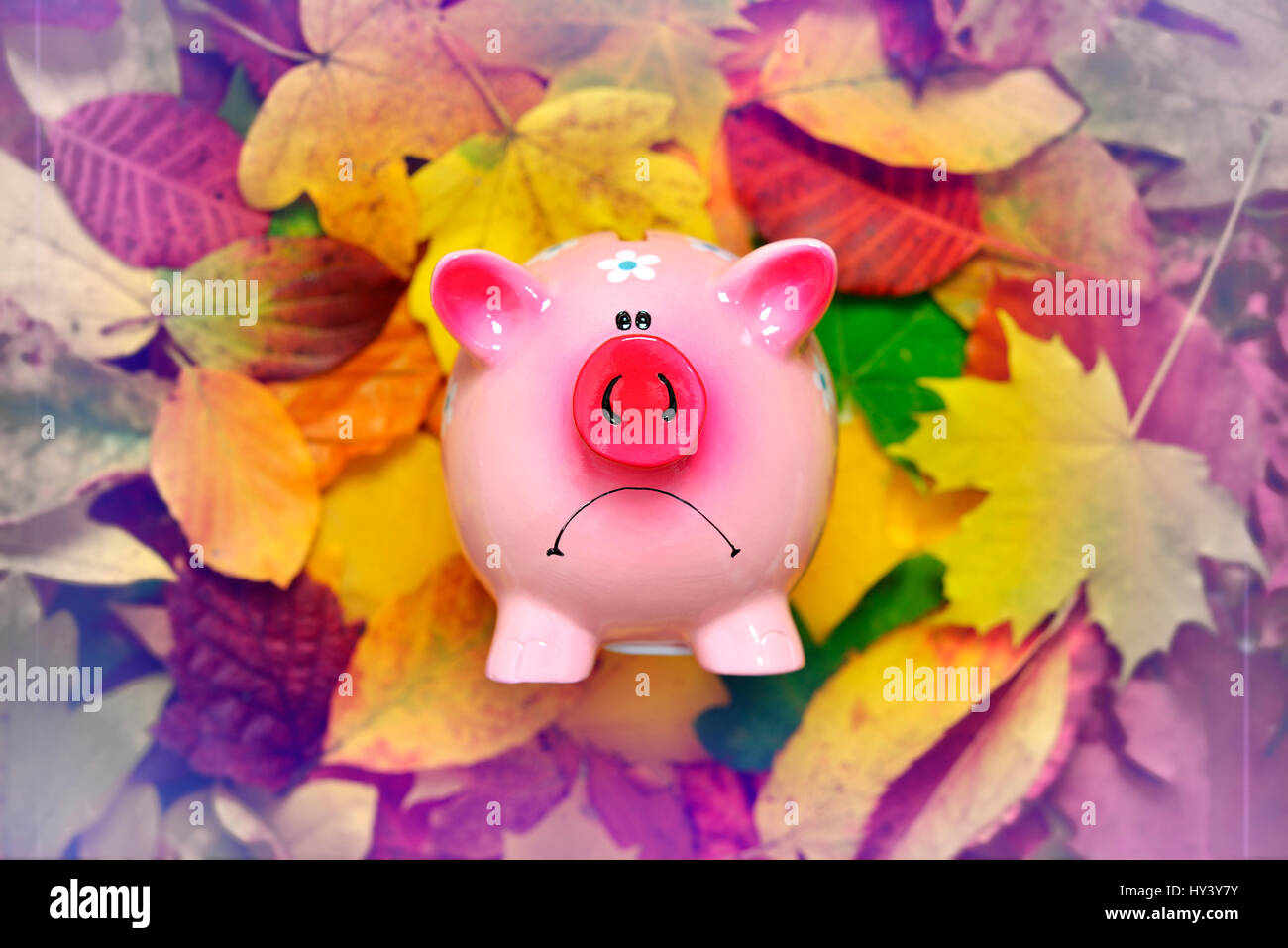 Sparschwein mit schlechter Laune in das Herbstlaub, niedrige Zinsen, Sparschwein Mit Schlechter Laune Im Herbstlaub, Niedrigzinsen Stockfoto