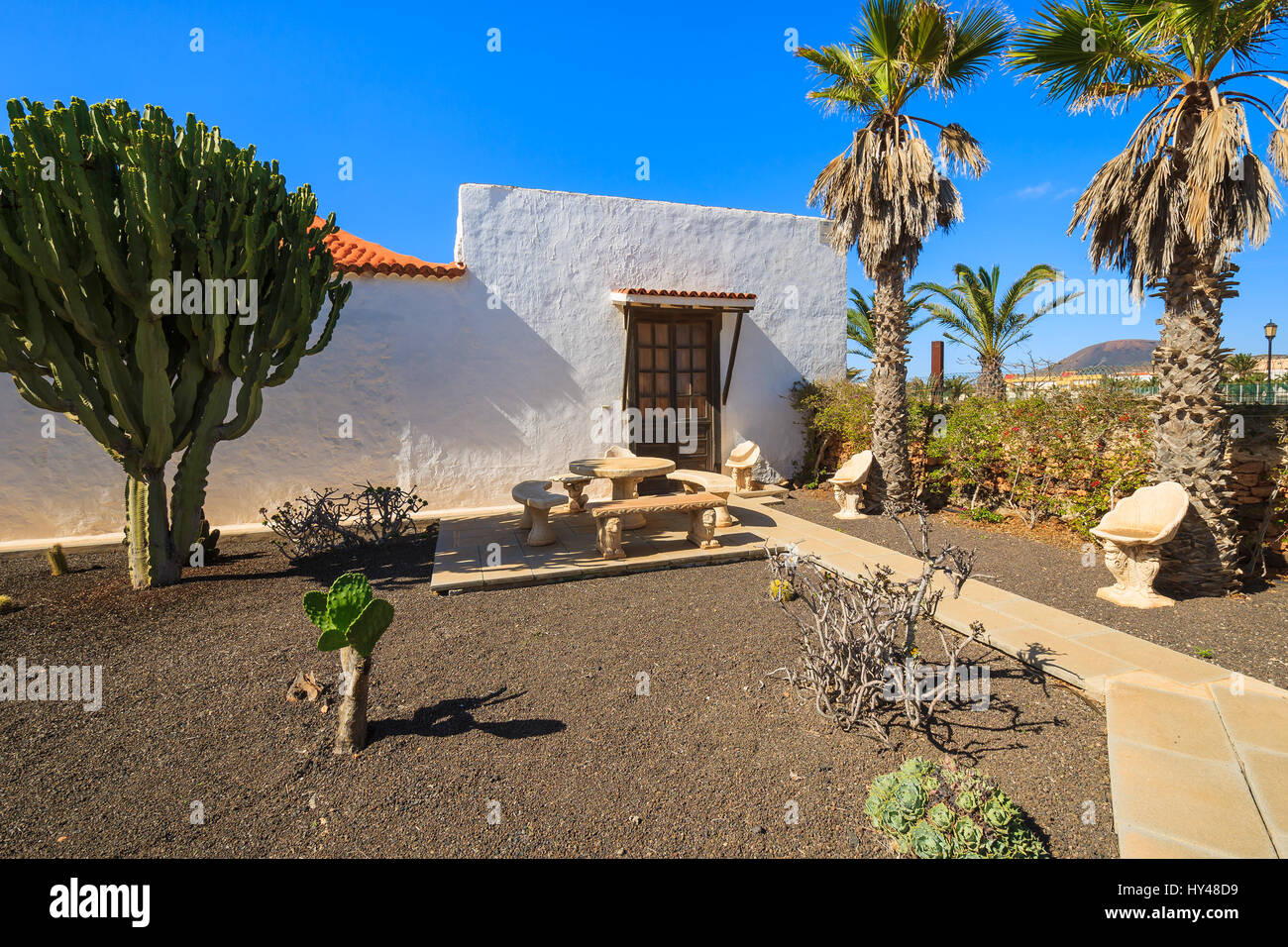 Gebäude im kanarischen Stil und tropischen Pflanzen in La Oliva Village Erbe Art Center, Fuerteventura, Kanarische Inseln, Spanien Stockfoto