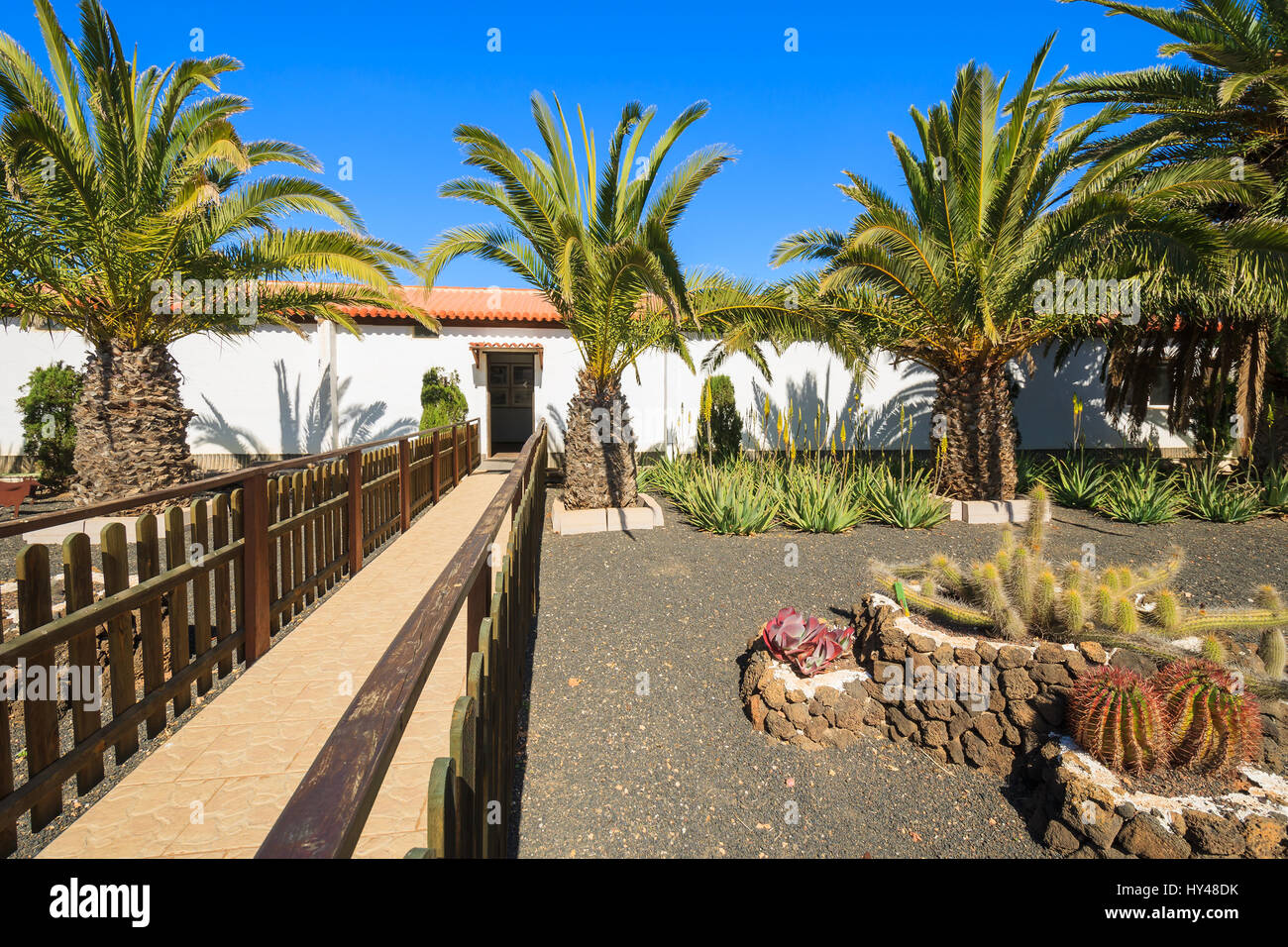 Gebäude im kanarischen Stil und tropischen Pflanzen in La Oliva Village Erbe Art Center, Fuerteventura, Kanarische Inseln, Spanien Stockfoto