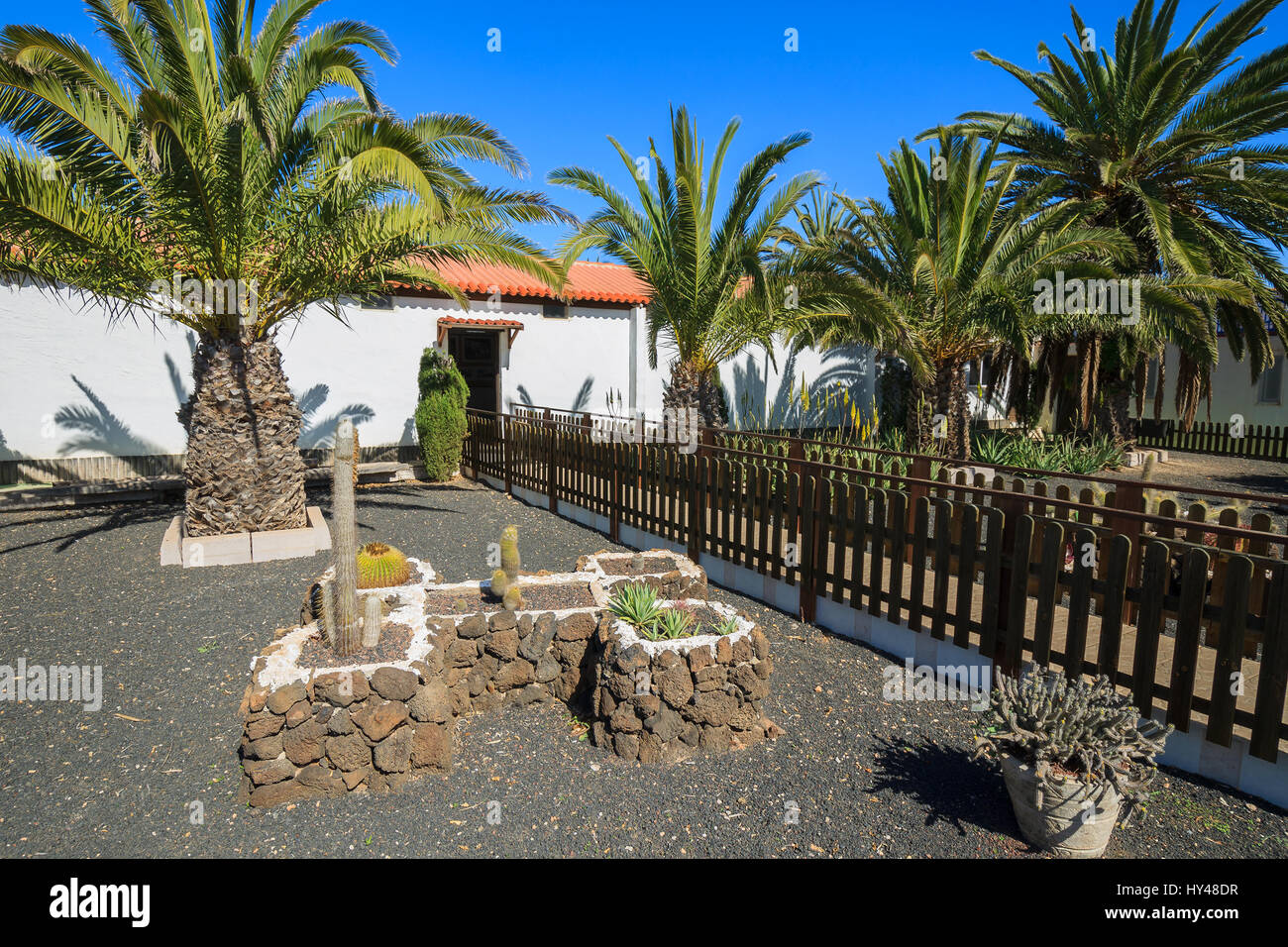 Gebäude im kanarischen Stil und tropischen Pflanzen in La Oliva Village Erbe Art Center, Fuerteventura, Kanarische Inseln, Spanien Stockfoto