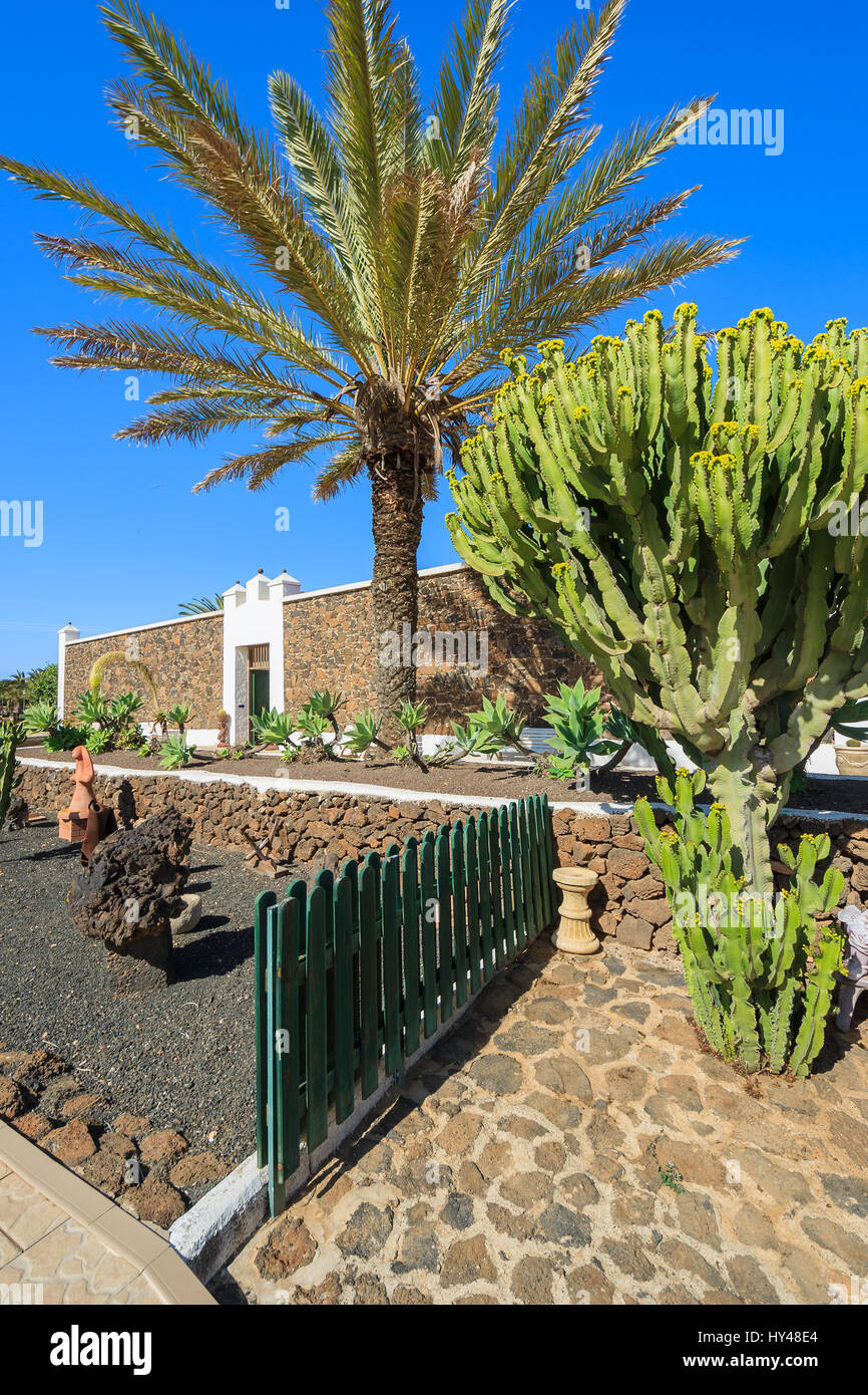Gebäude im kanarischen Stil und tropischen Pflanzen in La Oliva Village Erbe Art Center, Fuerteventura, Kanarische Inseln, Spanien Stockfoto