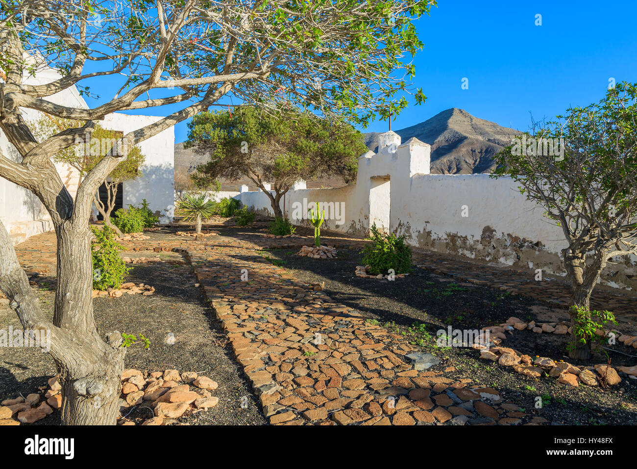 Hof und Garten der typischen weißen Kanarischen Stil Kirche in Tefia Dorf, Fuerteventura, Kanarische Inseln, Spanien Stockfoto