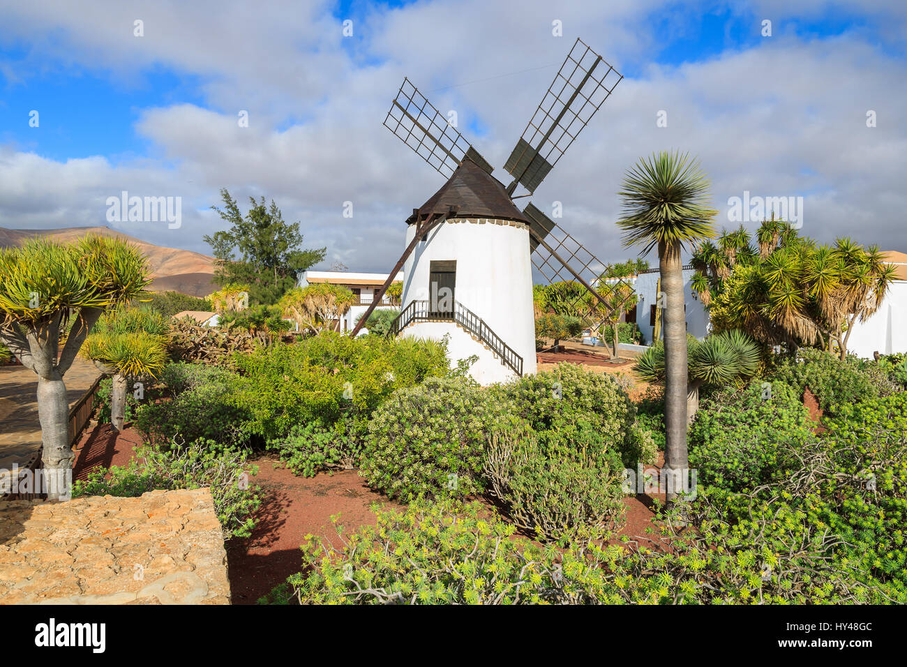 Alte Windmühle in einem tropischen Garten von Antigua Dorf, Fuerteventura, Kanarische Inseln, Spanien Stockfoto