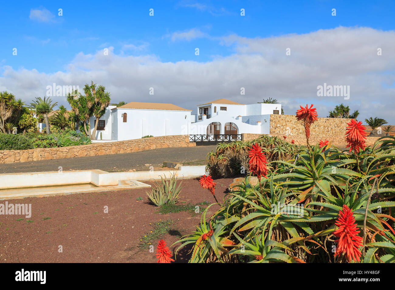 Traditionellen kanarischen Stil Häuser in Antigua Dorf, Fuerteventura, Kanarische Inseln, Spanien Stockfoto