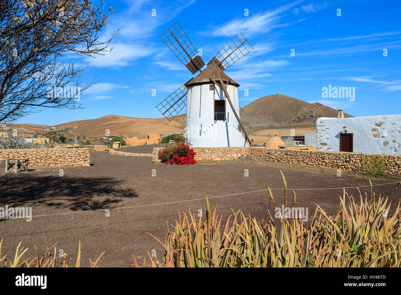 Alte Windmühle in Tiscamanita Dorf, Fuerteventura, Kanarische Inseln, Spanien Stockfoto