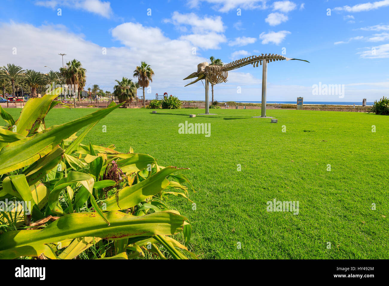 Skulptur im öffentlichen Park in Morro Jable Urlaub Badeort, Fuerteventura, Kanarische Inseln, Spanien Stockfoto