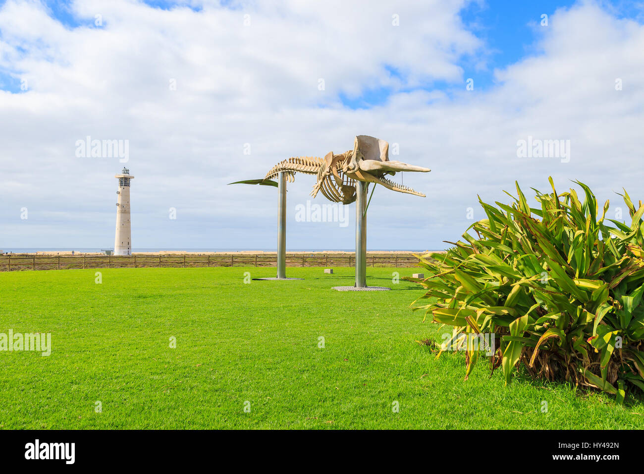 Skulptur im öffentlichen Park in Morro Jable Urlaub Badeort mit Leuchtturm am Strand von Jandia, Fuerteventura, Kanarische Inseln, Spanien Stockfoto