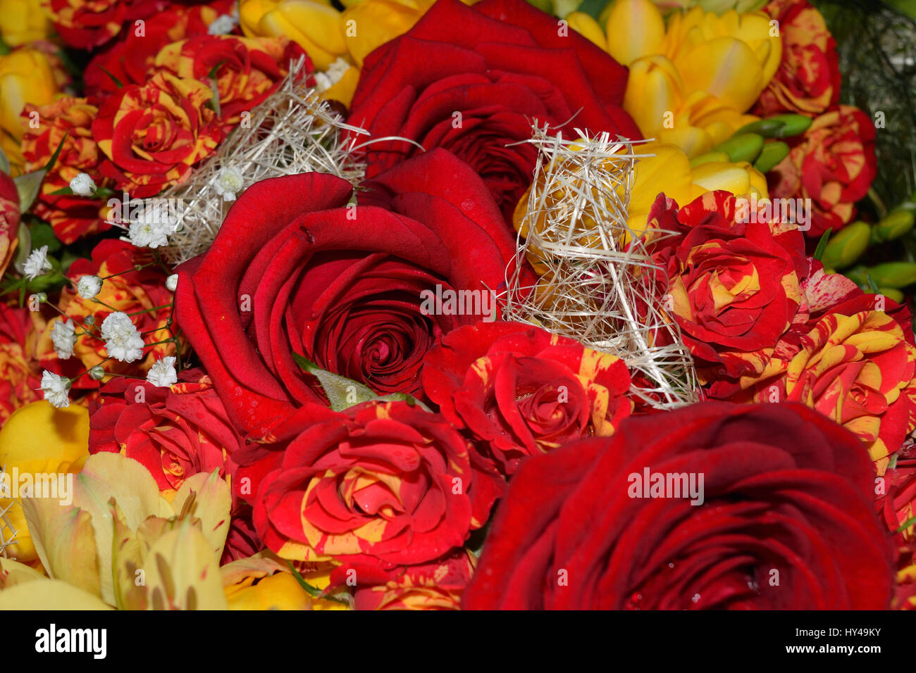 Blumenstrauß mit Rosen und Freesien in verschiedenen Farben Stockfoto