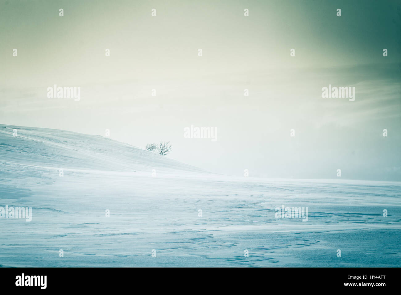 Eine wunderschöne, künstlerische, minimalistischen Landschaft mit viel Schnee in den norwegischen winter Stockfoto