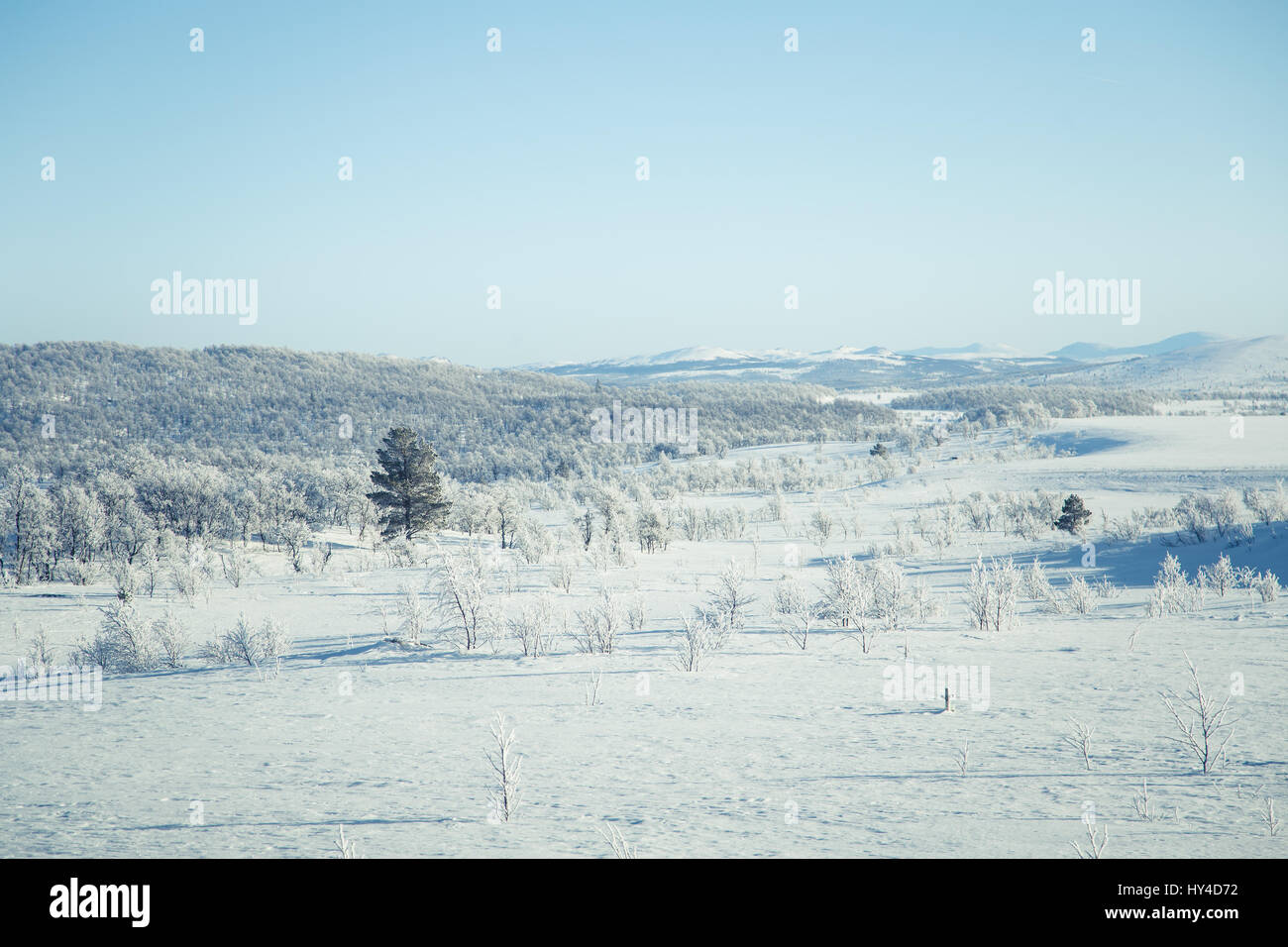 Eine schöne weiße Landschaft von einem verschneiten norwegischen Wintertag Stockfoto