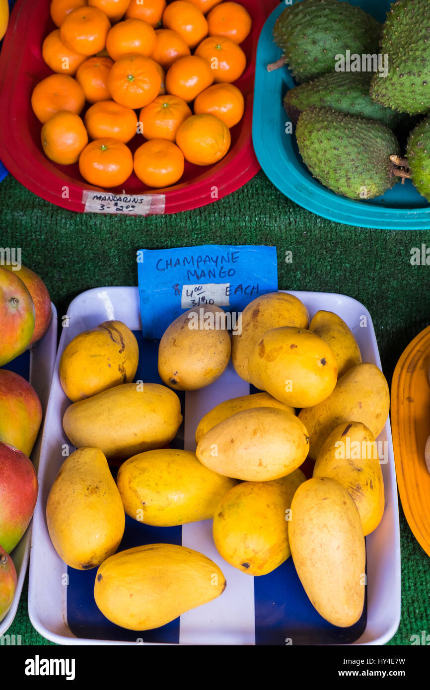 Hawaii Bauernmarkt mit Avocado und Mango neben anderen tropischen Früchten aus dieser paradiesischen Insel. Stockfoto