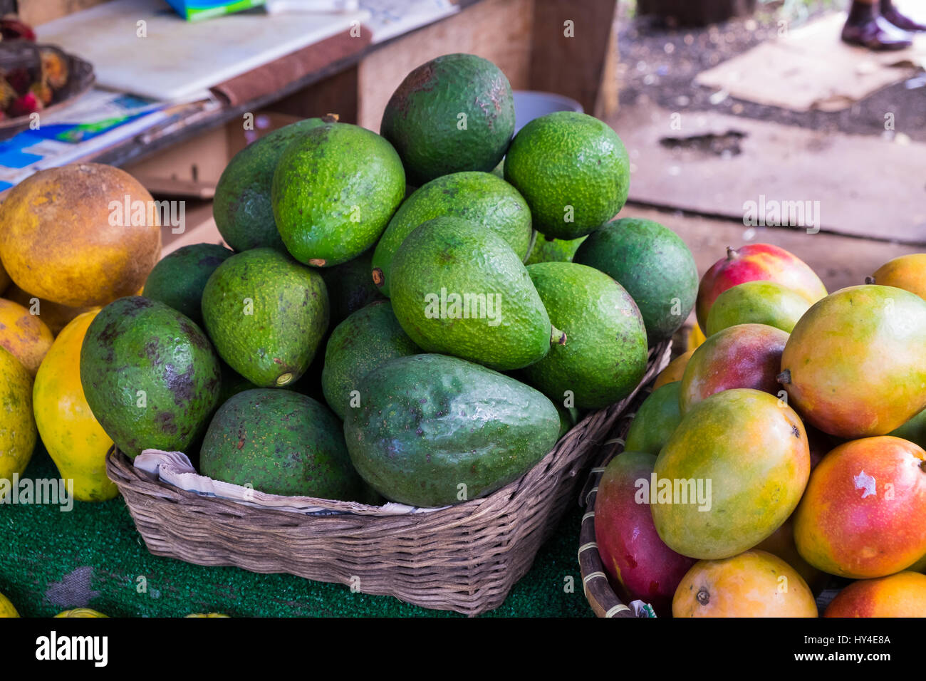 Hawaii Bauernmarkt mit Avocado und Mango neben anderen tropischen Früchten aus dieser paradiesischen Insel. Stockfoto