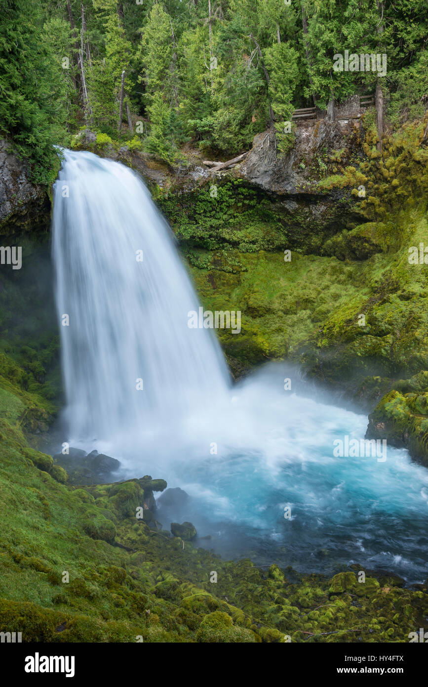 Sahalie fällt auf McKenzie River, Willamette National Forest, Oregon. Stockfoto