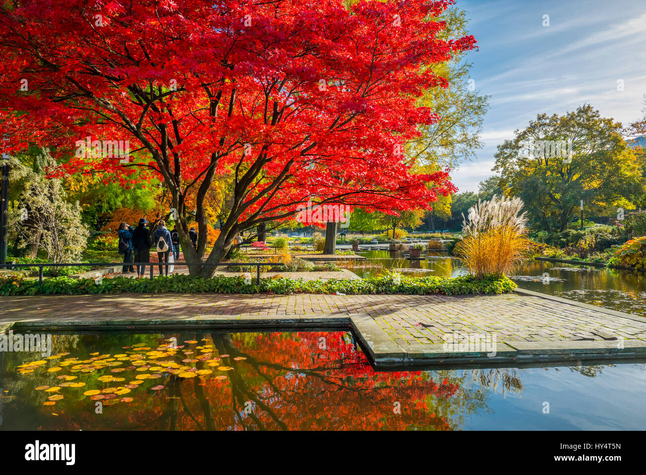 Deutschland, Hamburg, Park, Park, Planten un Blomen, Herbst Stockfoto