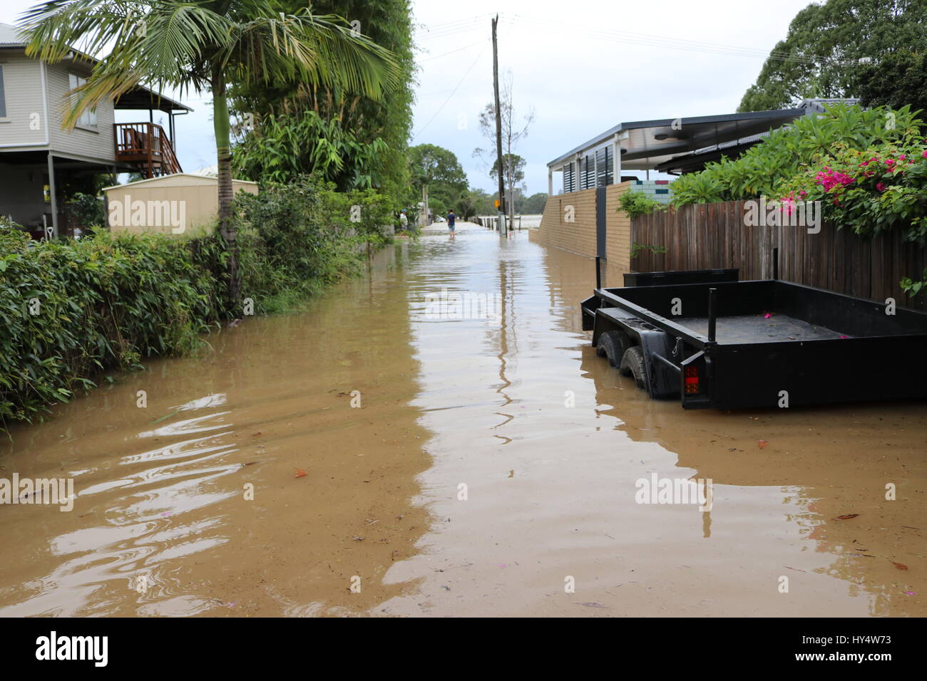 Zyklon Debbie - Northern NSW Überschwemmungen Stockfoto