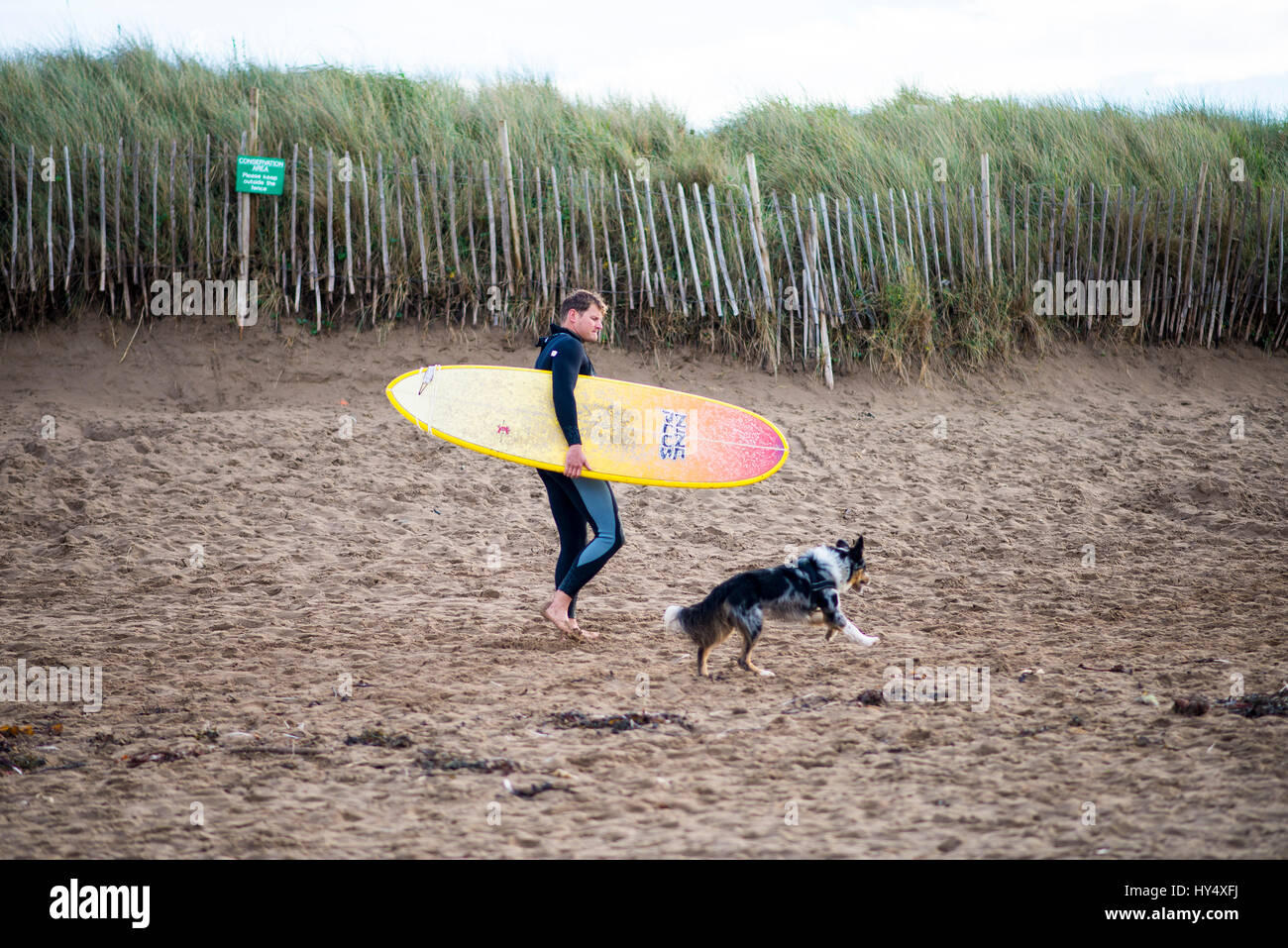 Männliche Surfer mit seinem Hund am Bantham Beach in Devon, England Stockfoto