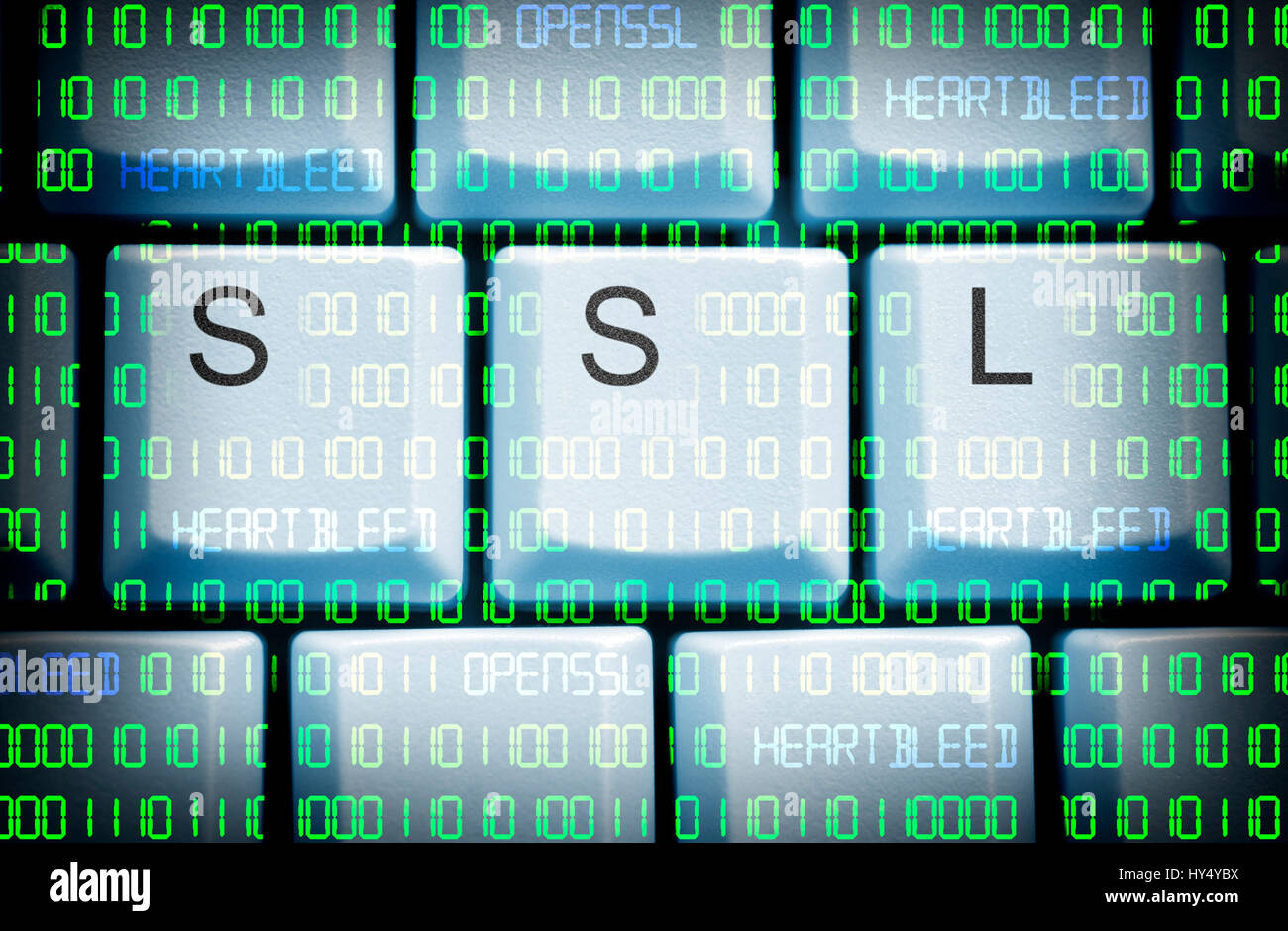 Computer-Tasten mit SSL-Hub und Binärcode, Sicherheitslücke Heartbleed in OpenSSL, Computertasten Mit SSL-Schriftzug Und Binaercode, Sicherheitsluecke Stockfoto