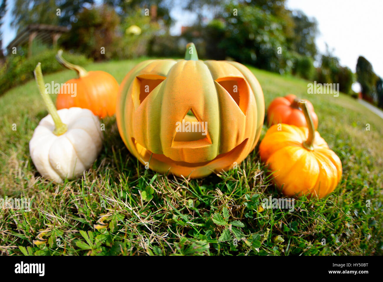 Halloween-Kürbis, Halloween, Halloween-Kuerbis Stockfoto