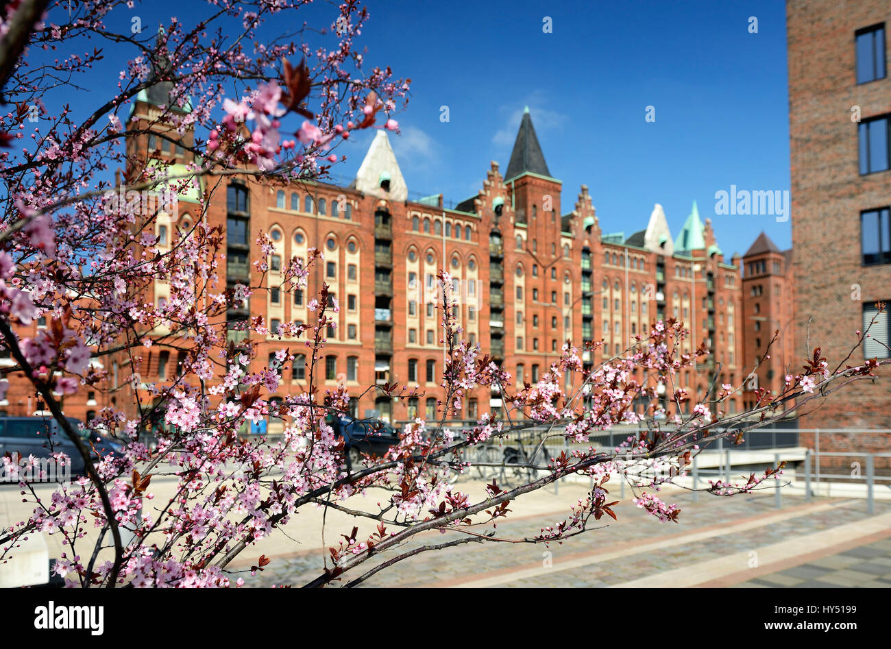 Dar-es-Salaam-Platz in der Hafenstadt Hamburg, Deutschland, Europa, Dar-es-Salaam-Platz in der Hafencity von Hamburg, Deutschland, Europa Stockfoto