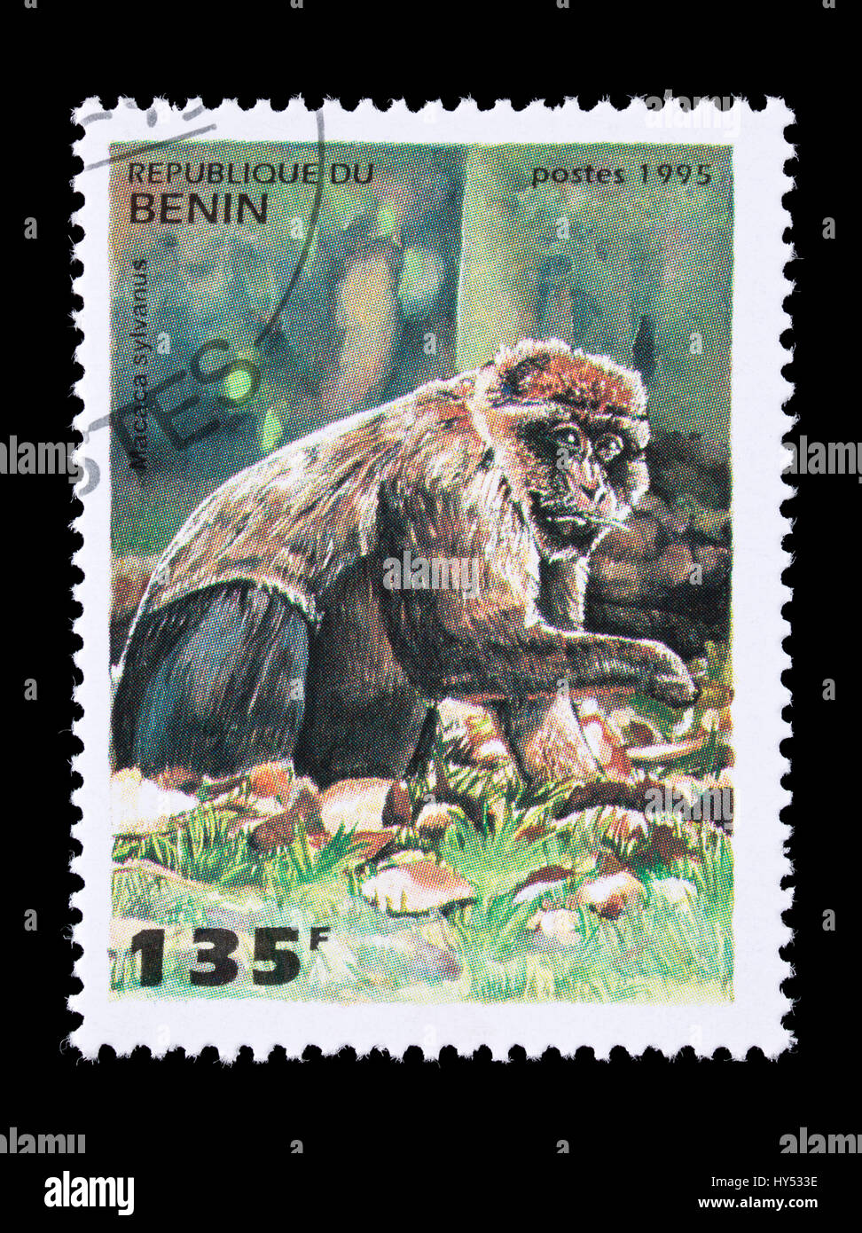 Briefmarke aus Benin Darstellung ein Berberaffe (Macaca Sylvanus) Stockfoto