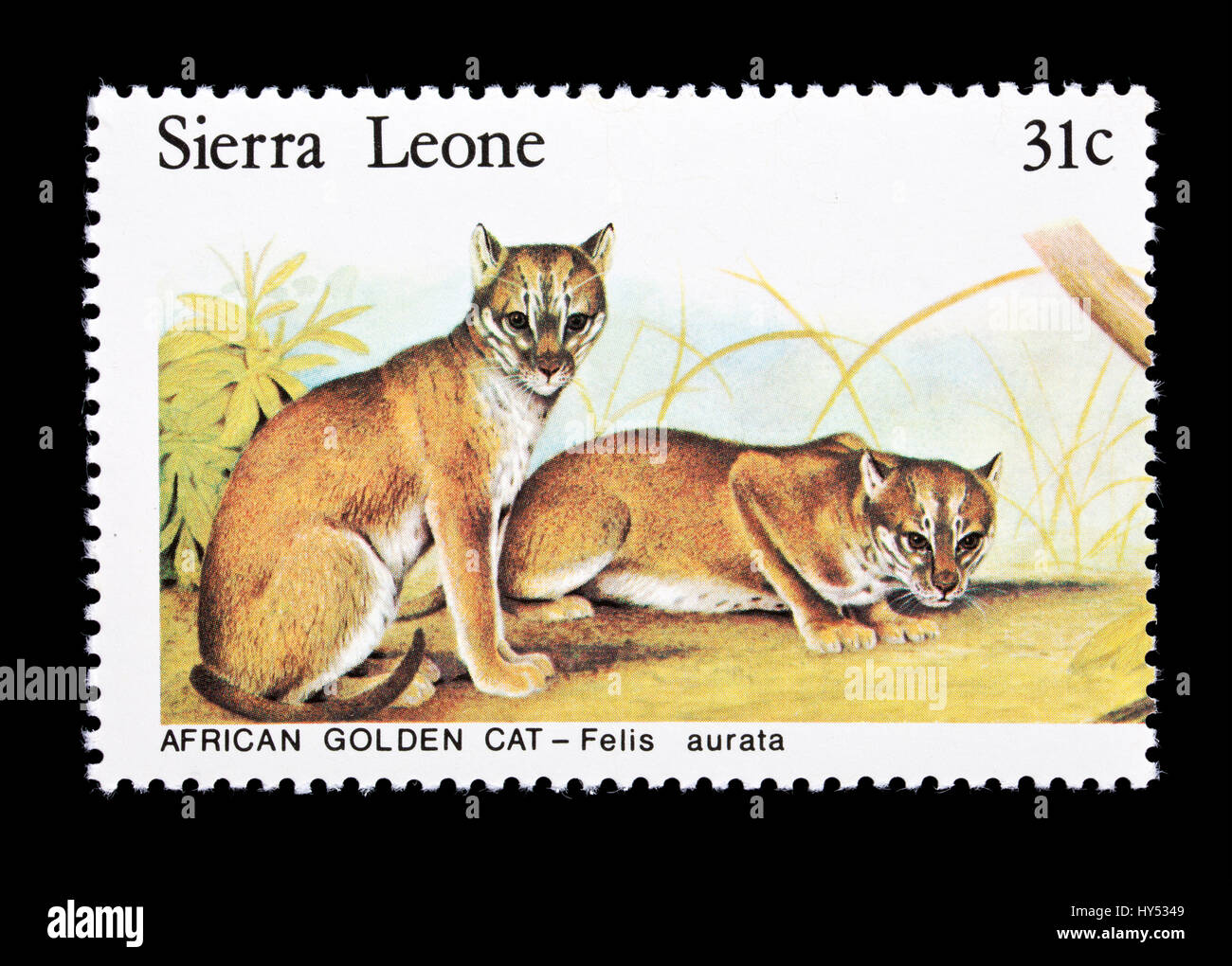 Briefmarke aus Sierra Leone Darstellung afrikanische goldene Katzen (Caracal Aurata) Stockfoto