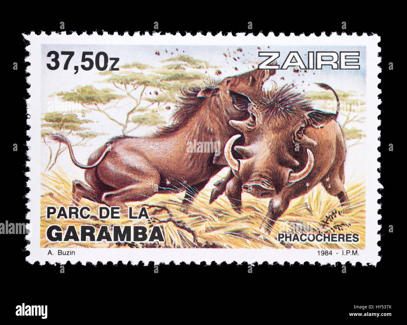 Briefmarke aus Zaire Darstellung ein Warzenschwein, ausgestellt für Garamba-Nationalpark. Stockfoto