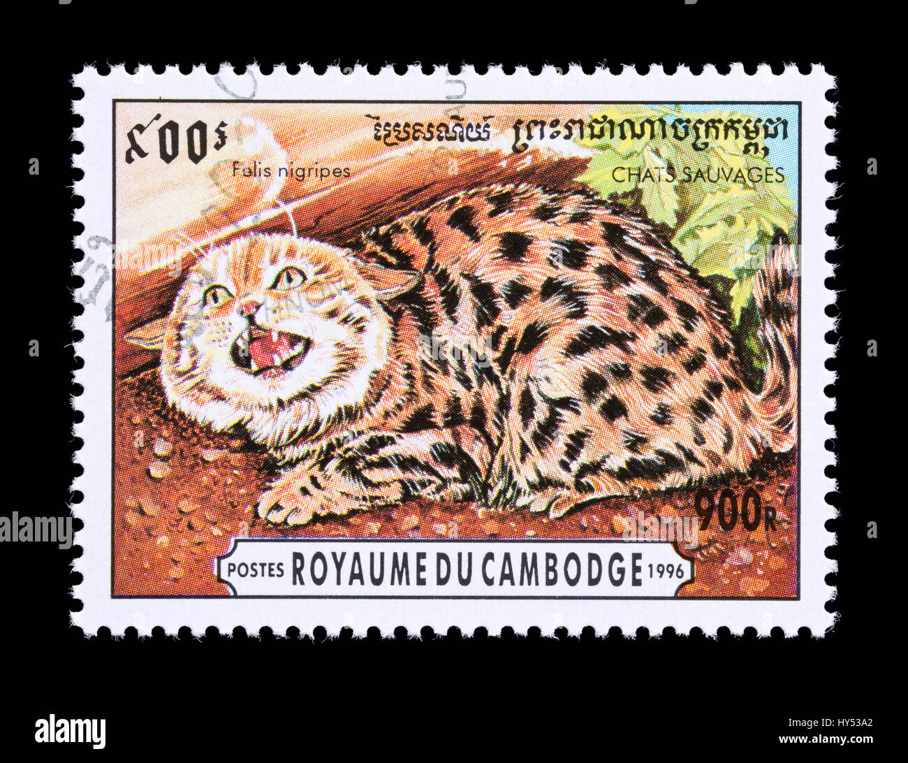 Briefmarke aus Kambodscha, die Darstellung eines Black-footed Cat (Felis Nigripes) Stockfoto