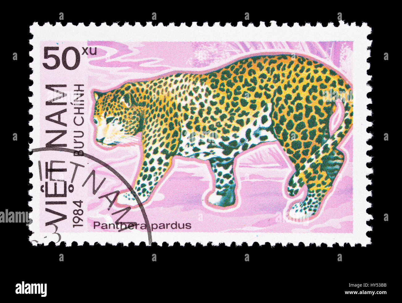 Briefmarke aus Vietnam, die Darstellung eines Leoparden (Pathera Pardus) Stockfoto