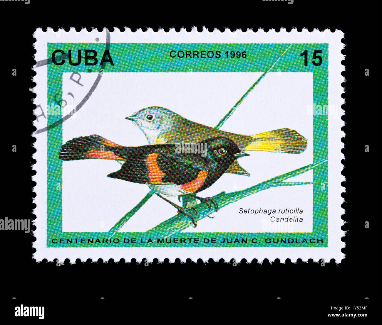 Briefmarke aus Kuba, die Darstellung einer Maile und weiblichen amerikanischen Gartenrotschwänze (Setophaga Ruticilla) Stockfoto