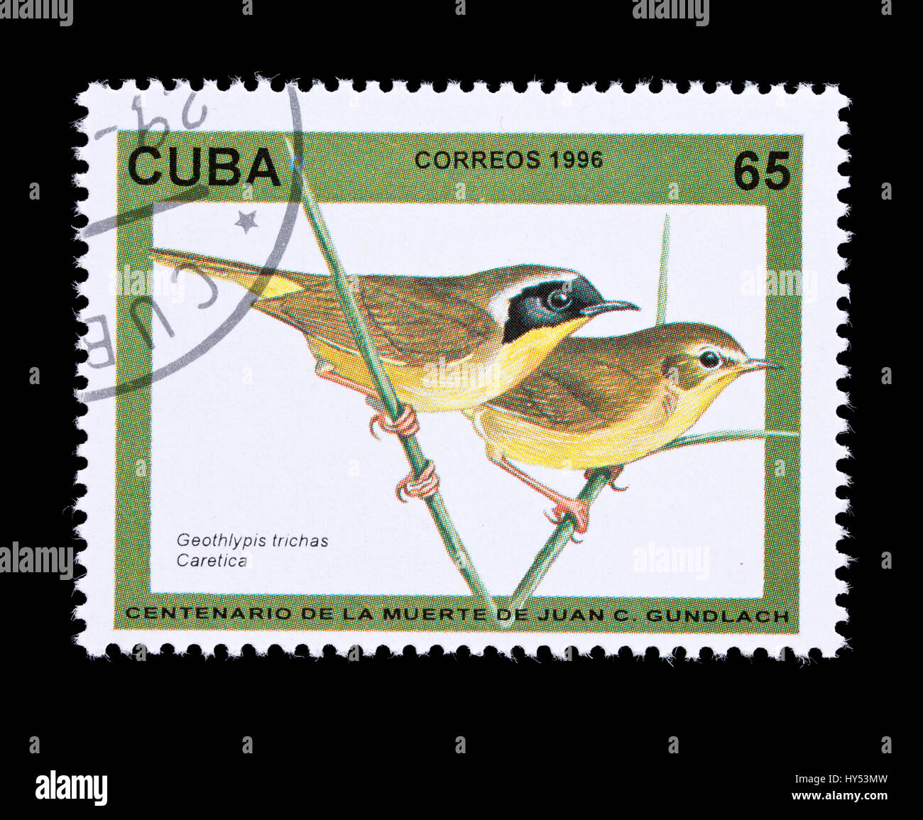 Briefmarke aus Kuba, die Darstellung einer männlichen und weiblichen gemeinsame Yellowthroat (Geothlypis Trichas) Stockfoto