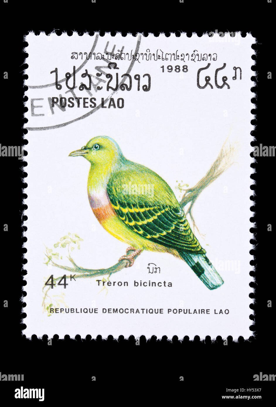 Briefmarke aus Laos Darstellung eine Orange-breasted grüne Taube (Treron Bicinctus) Stockfoto