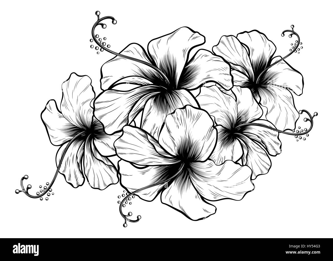 Hibiskusblüten in einem Vintage retro-Holzschnitt graviert Radierung Stil Stockfoto