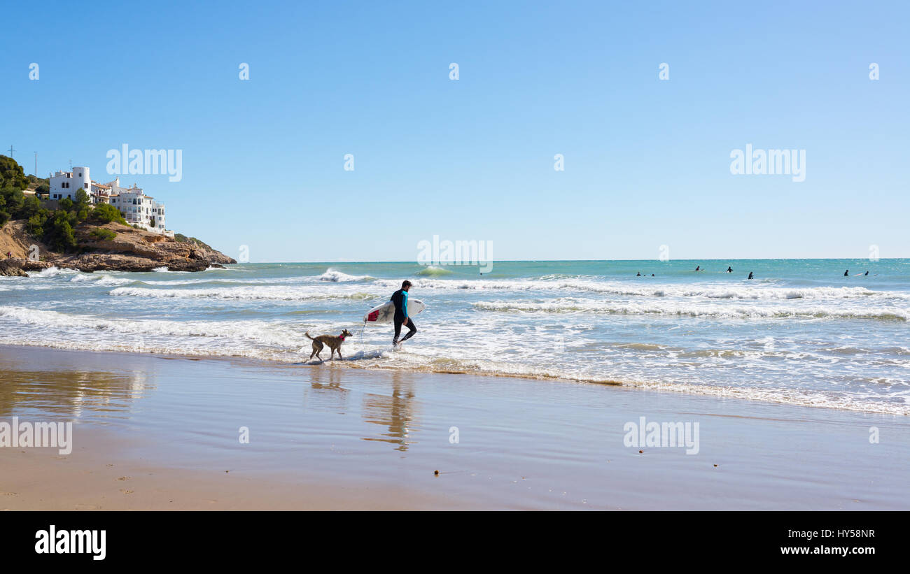 Sitges, Katalonien, Spanien - 5. März 2016: Surfer durch Hund Eingabe im Meer mit Surf Board gefolgt. schoß in einem Strand in Sitges, einer kleinen Stadt in der Nähe von Barc Stockfoto