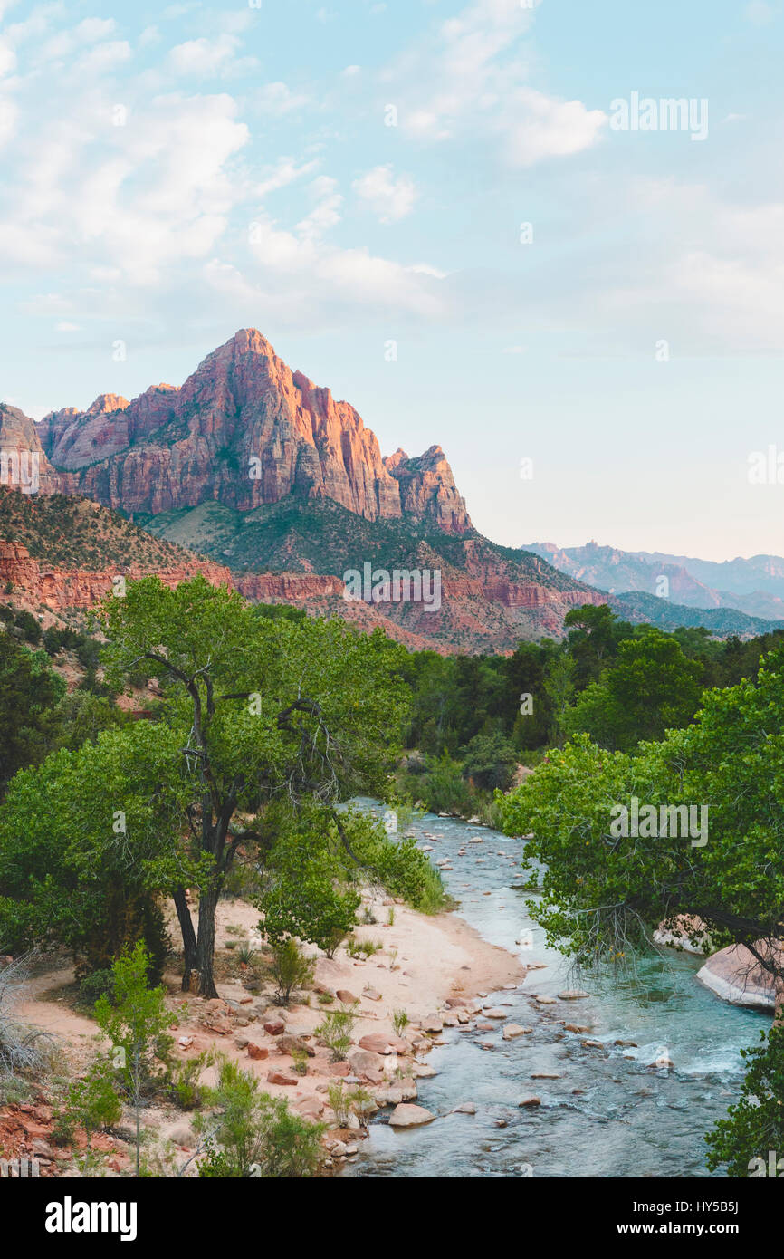 USA, Utah, Virgin River im Zion National Park Stockfoto