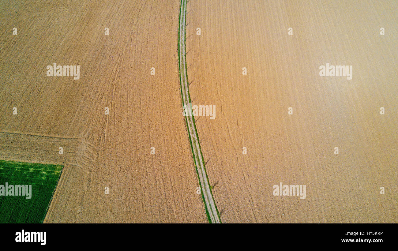 Natur und Landschaft: Luftaufnahme von einem Feld, Anbau, grasgrün, Landschaft, Landwirtschaft, Feldweg Stockfoto