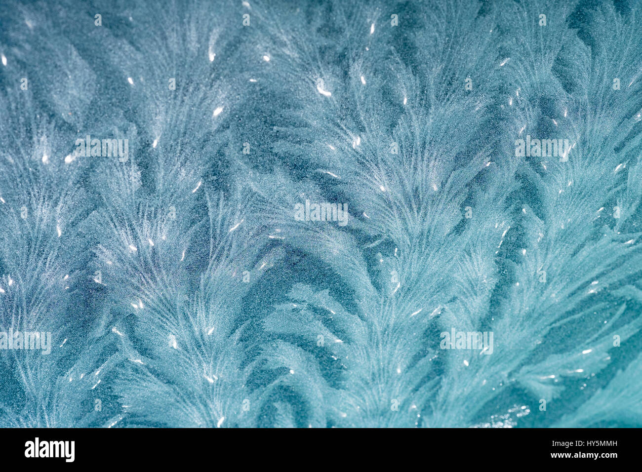 Maßwerk Eisblumen auf Glasscheibe, Deutschland Stockfoto