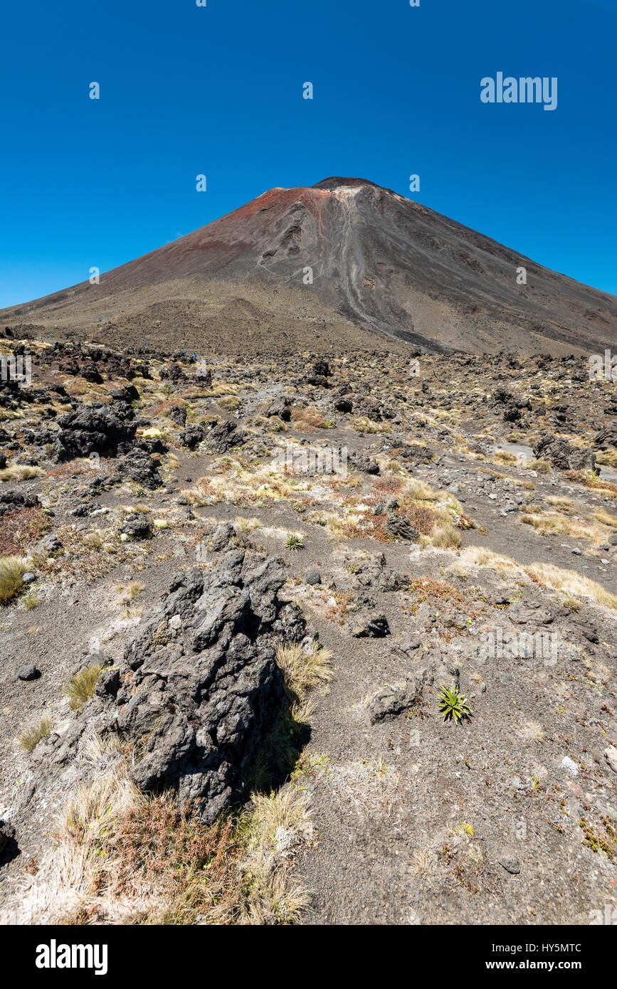 Mount Ngauruhoe, aktiver Vulkan, Vulkanlandschaft, Tongariro Alpine Crossing, Tongariro National Park, North Island Stockfoto